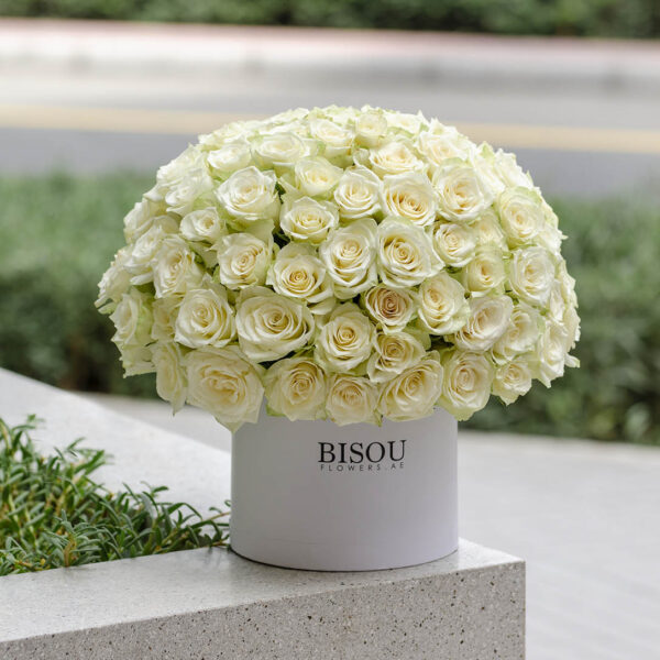 Amore large white Roses