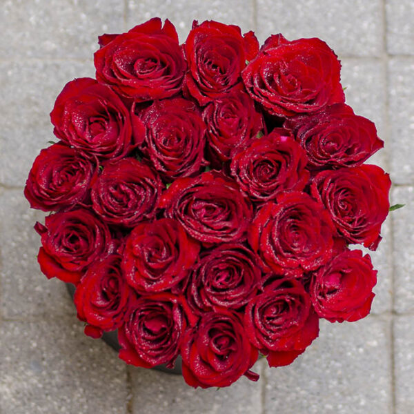 21 red roses