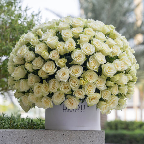 Amore XXL roses arranged in a drum box