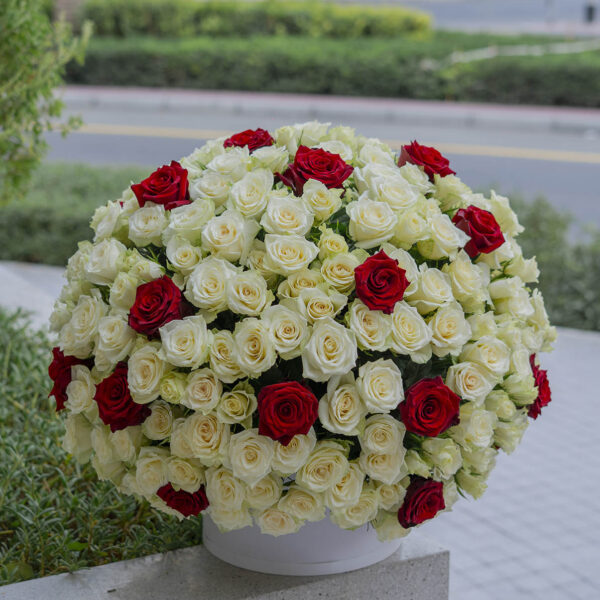 Amore red-white roses arrangement