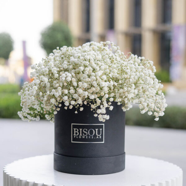 Baby flower drum box arrangement
