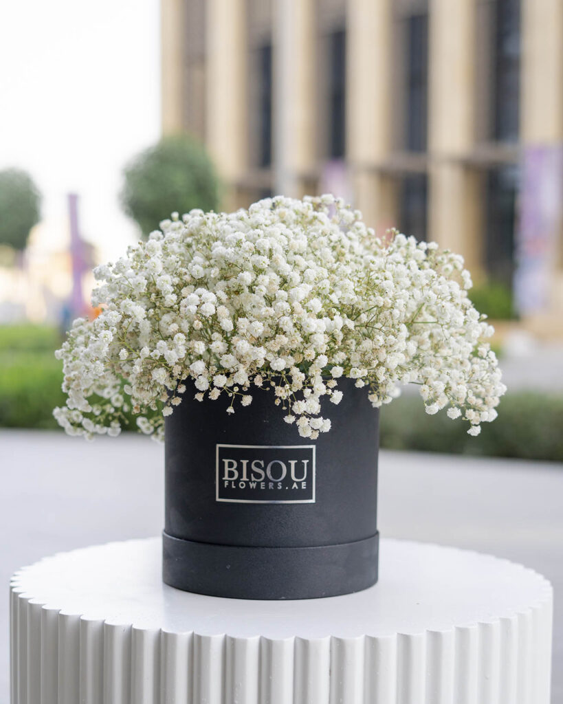 Baby flower drum box arrangement