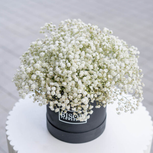 baby gypsophila 5 flower drum box arrangement