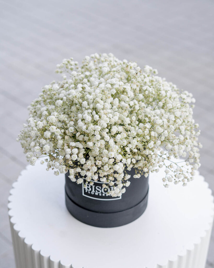 baby gypsophila 5 flower drum box arrangement