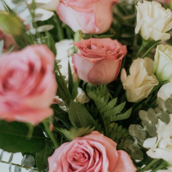 Hand tied bunch of 14 stems of purple roses and white lisisanthes and 2 stems of white Delphinium