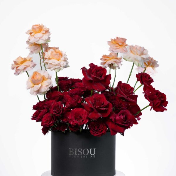 Serenade of Roses