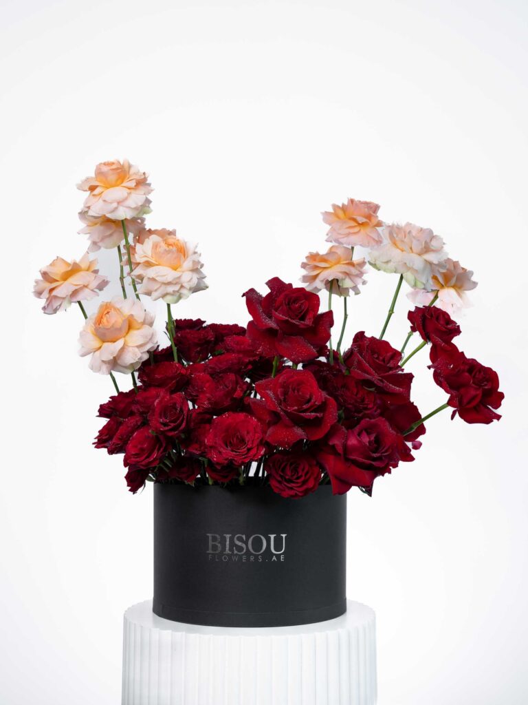 Serenade of Roses