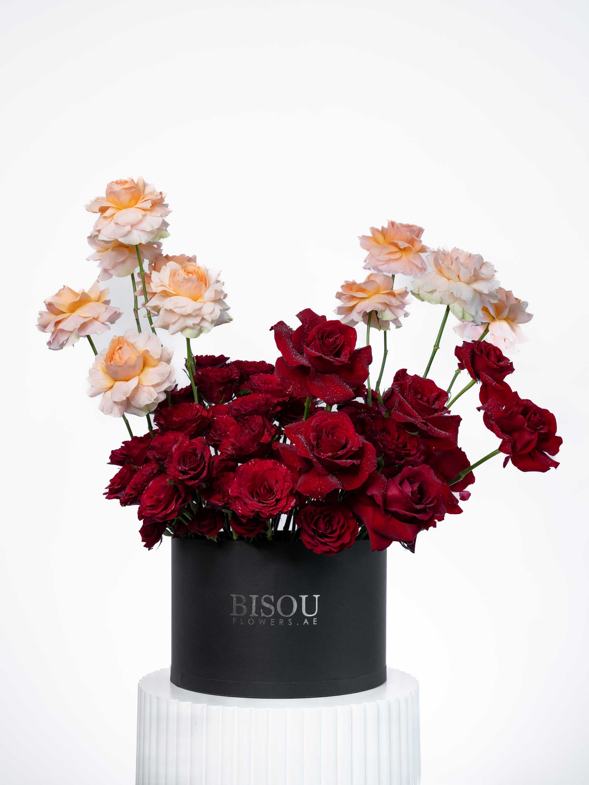 Serenade of Roses