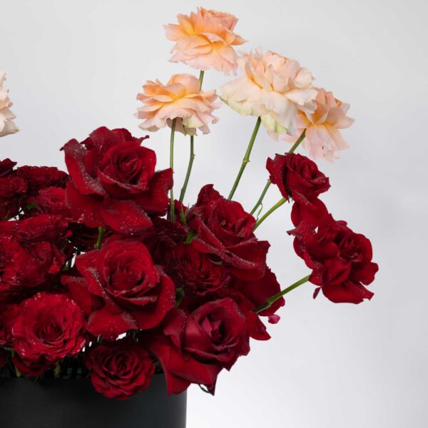 serenade of roses arranged in a drum box