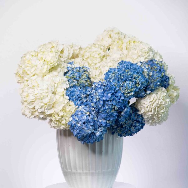 Radiant Bliss flowers arrangement