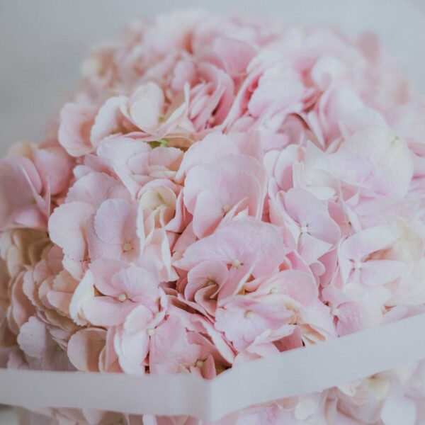 pure joy flower bouquet